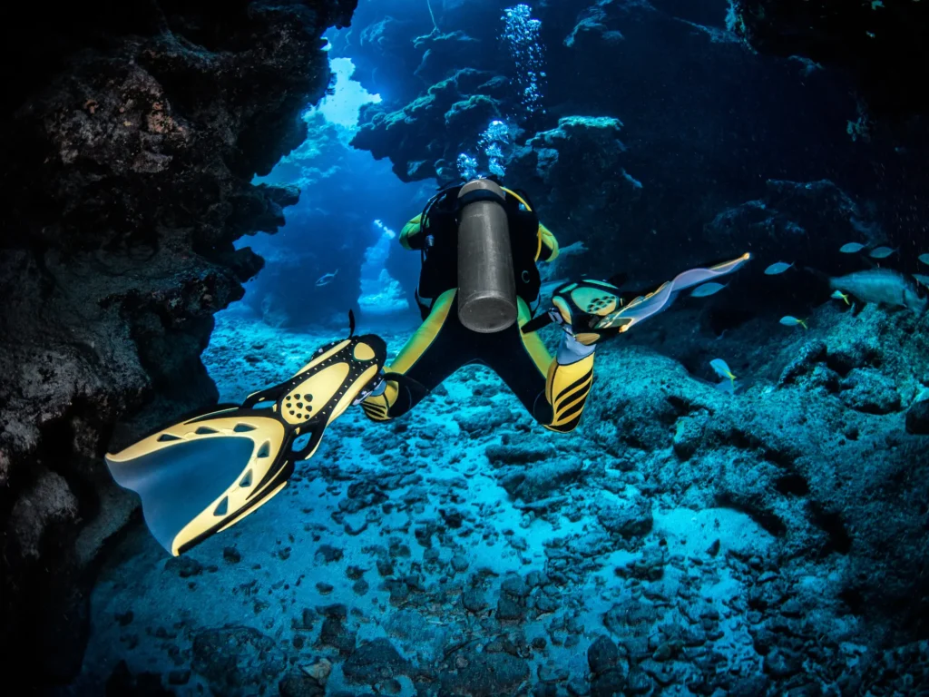 Scuba Dive Komodo Island